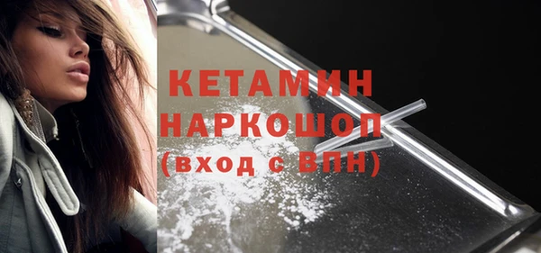 крисы Баксан