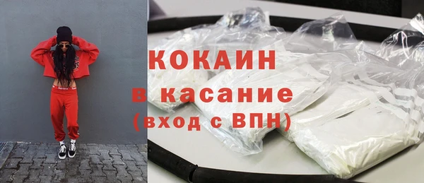крисы Баксан