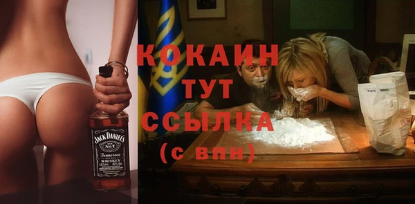 крисы Баксан