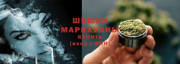 крисы Баксан