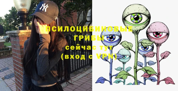 крисы Баксан