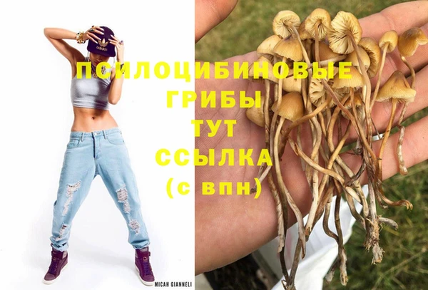 мдпв Балабаново