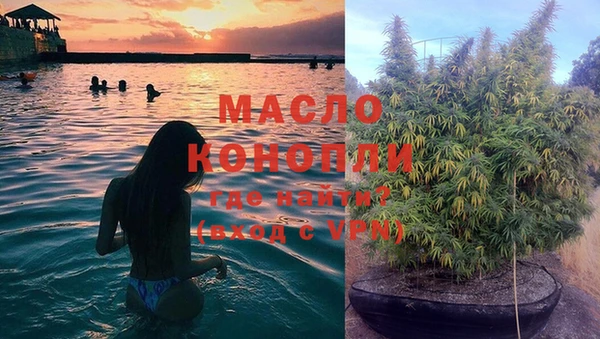 крисы Баксан