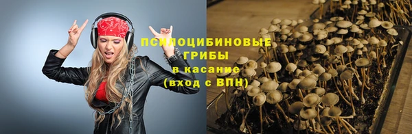 мдпв Балабаново