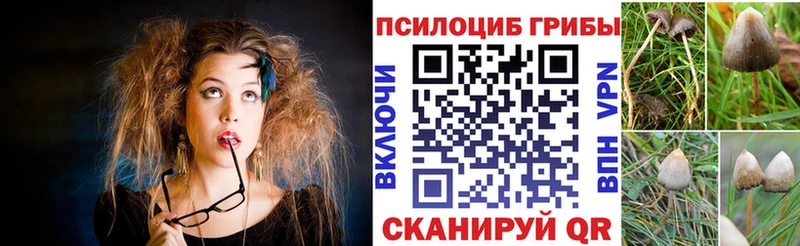 купить наркотик  Урай  Галлюциногенные грибы Psilocybine cubensis 